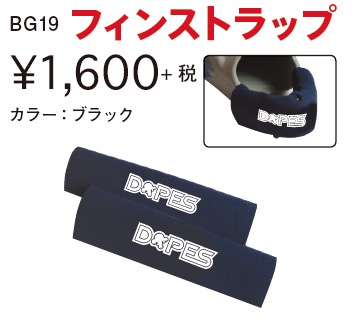 bg19